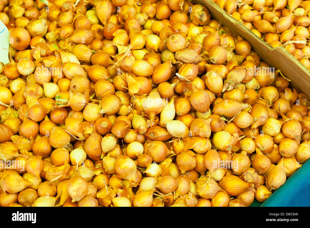 display onions at the market Stock Photo - Alamy