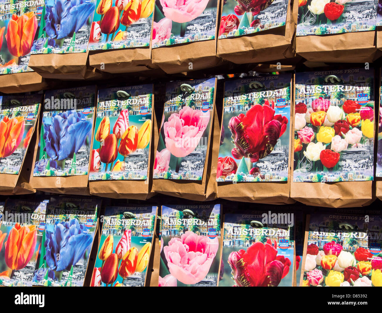 Tulip bulb production hires stock photography and images Alamy