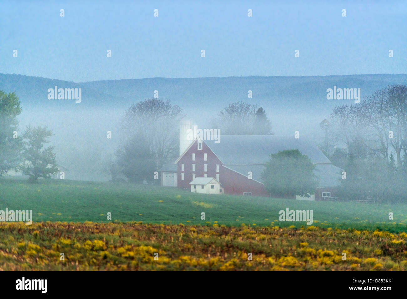 Farm in mist, Adams County, Pennsylvania, USA Stock Photo