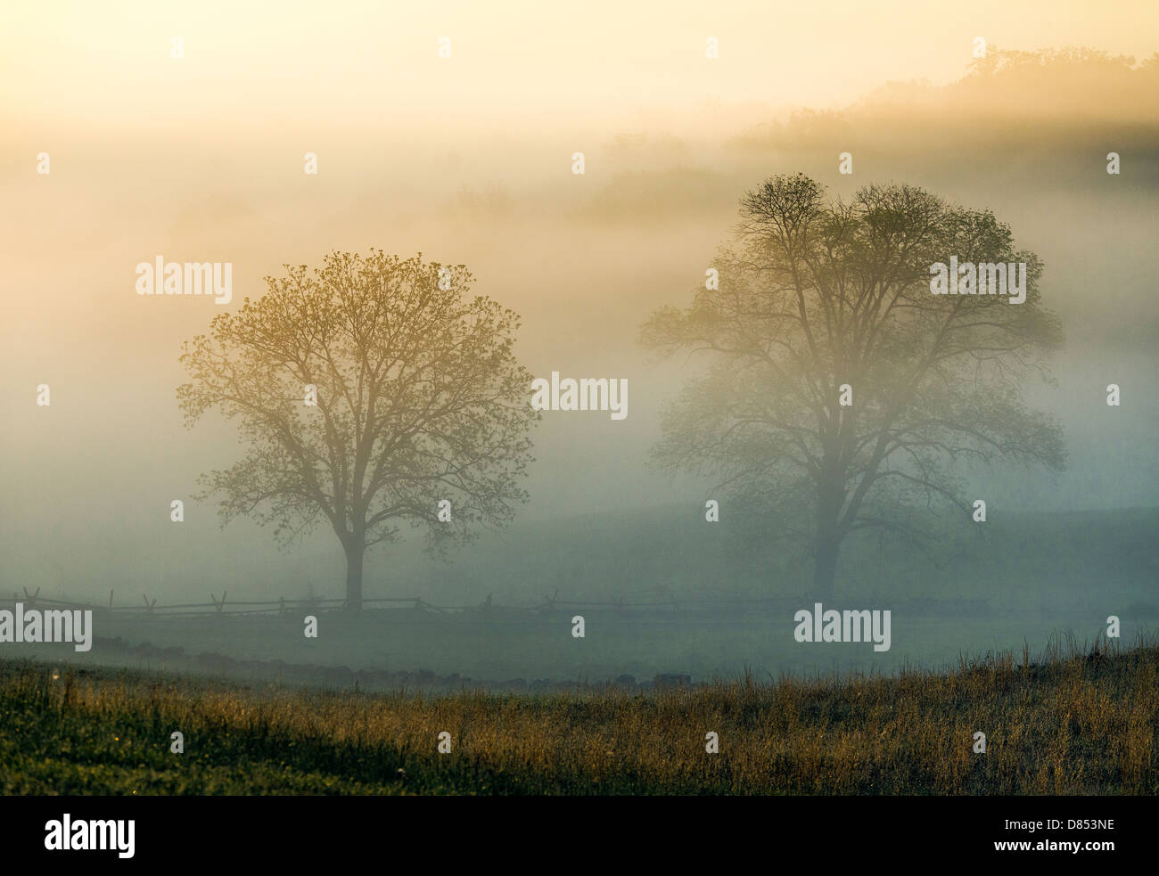 Misty battlefield, Gettysburg National Military Park, Pennsylvania, USA Stock Photo