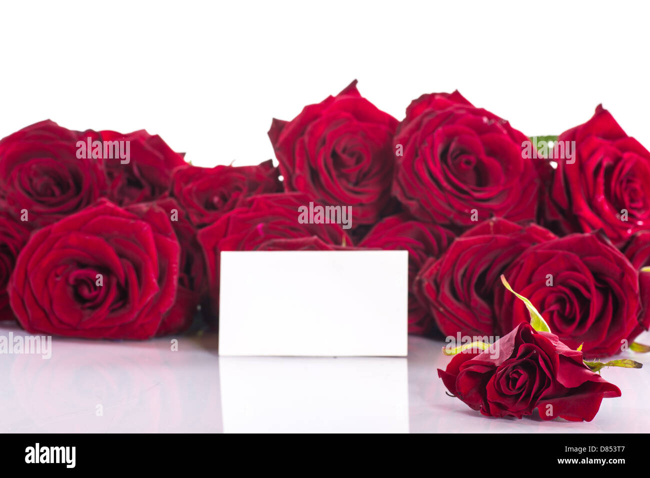 bouquet of beautiful red roses on a white background Stock Photo - Alamy