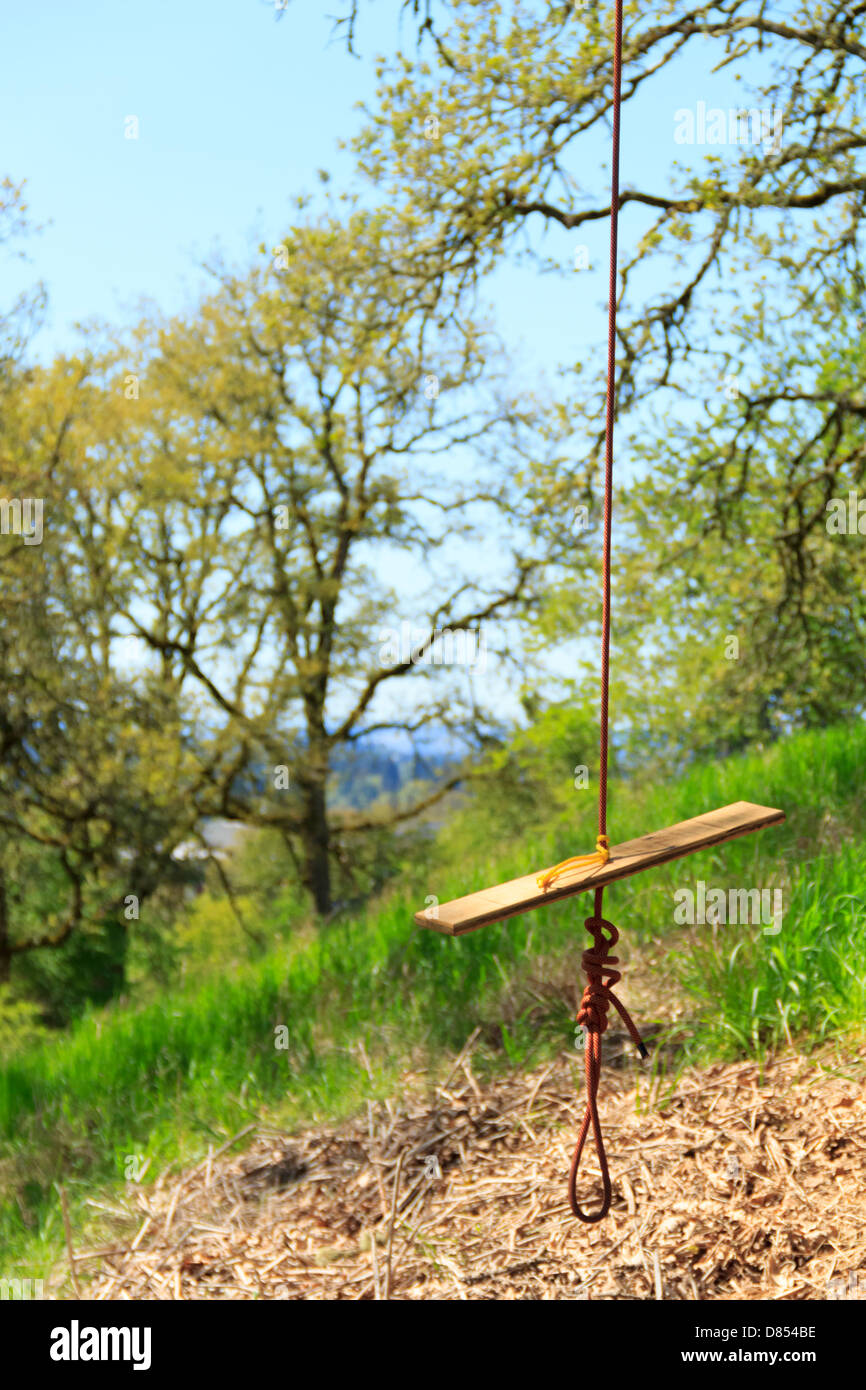 41,388.08844 Rope swing and single board for seat hanging from a tree, with green grass Oregon white oak trees and blue sky in background. Stock Photo