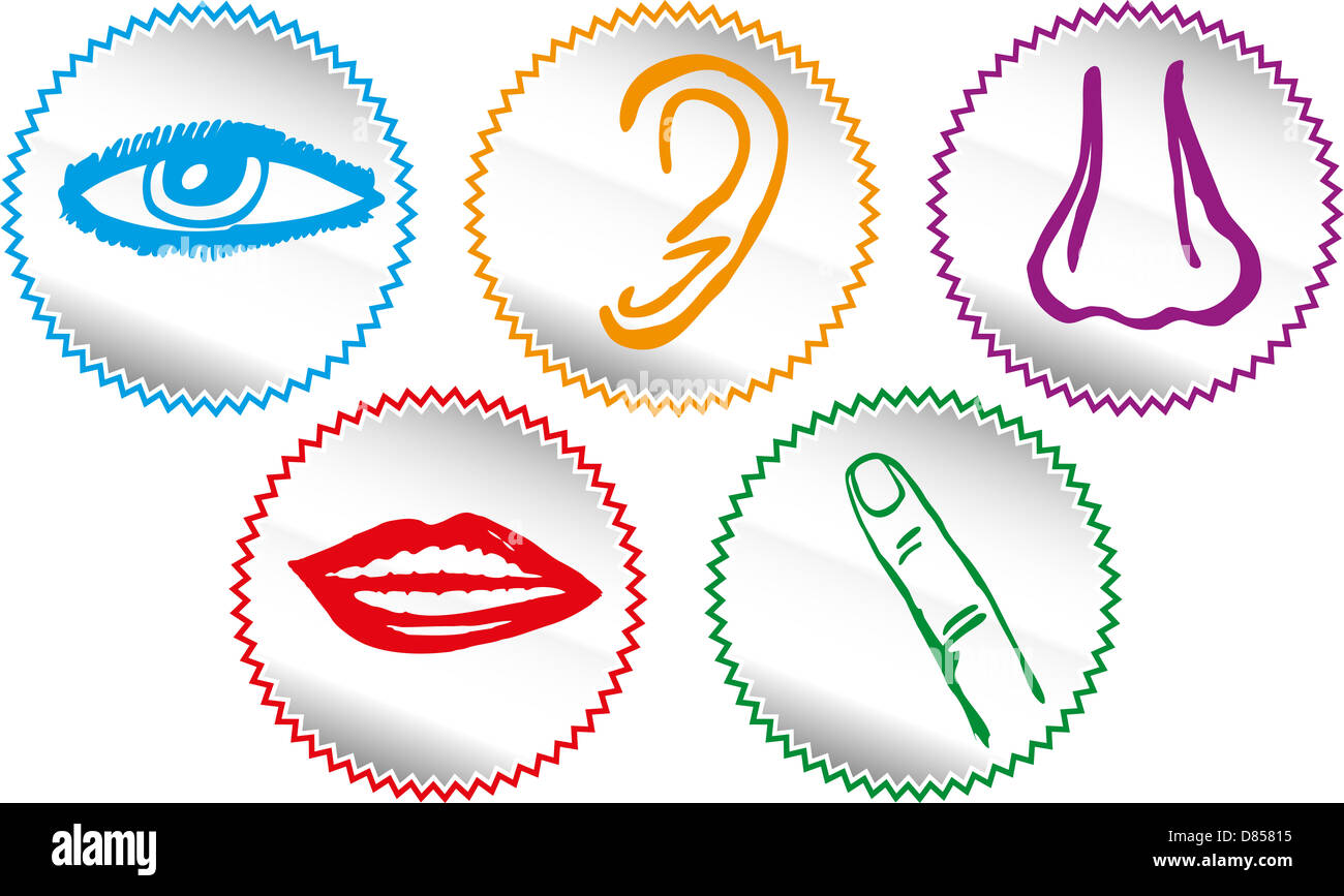 Five senses icon set - Vector Illustration Stock Photo
