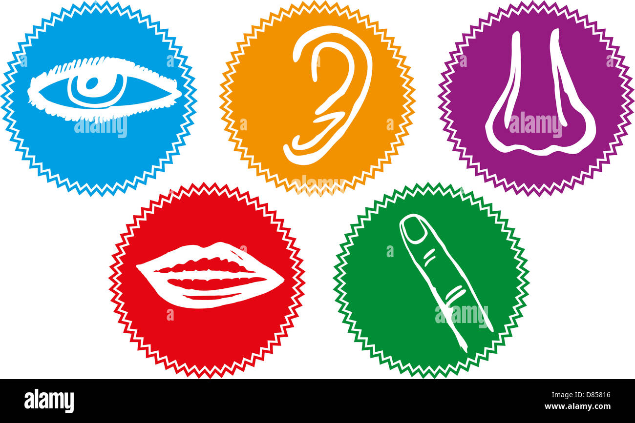 Five senses icon set - Vector Illustration Stock Photo