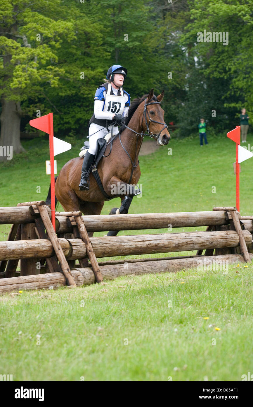 Hampshire Equestrian crosscountry event Stock Photo Alamy
