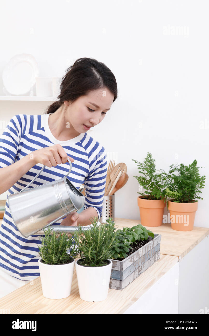 young woman watering herbs. Stock Photo