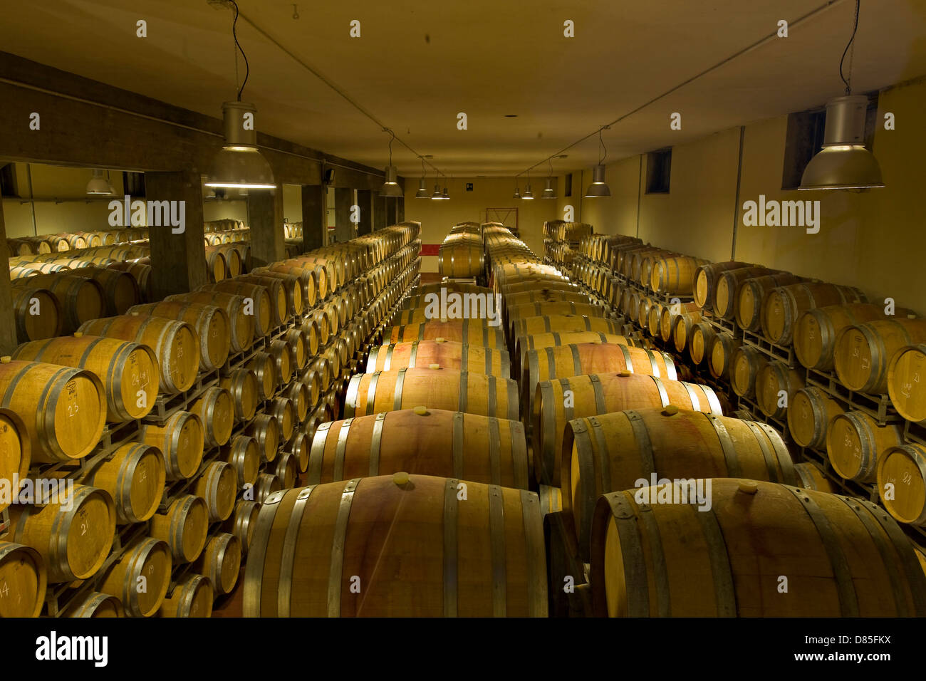 Italy Lombardy Valtellina Chiuro Nino Negri vinery callar Stock Photo