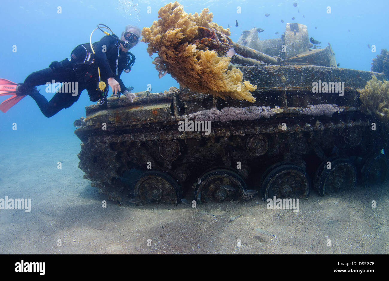 Divers at a sunken tank off the cost of Aqaba, Red Sea Jordan Stock Photo