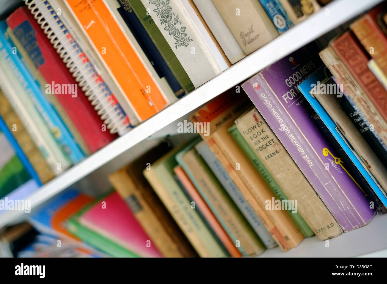 A large selection of books on a book shelf. Stock Photo