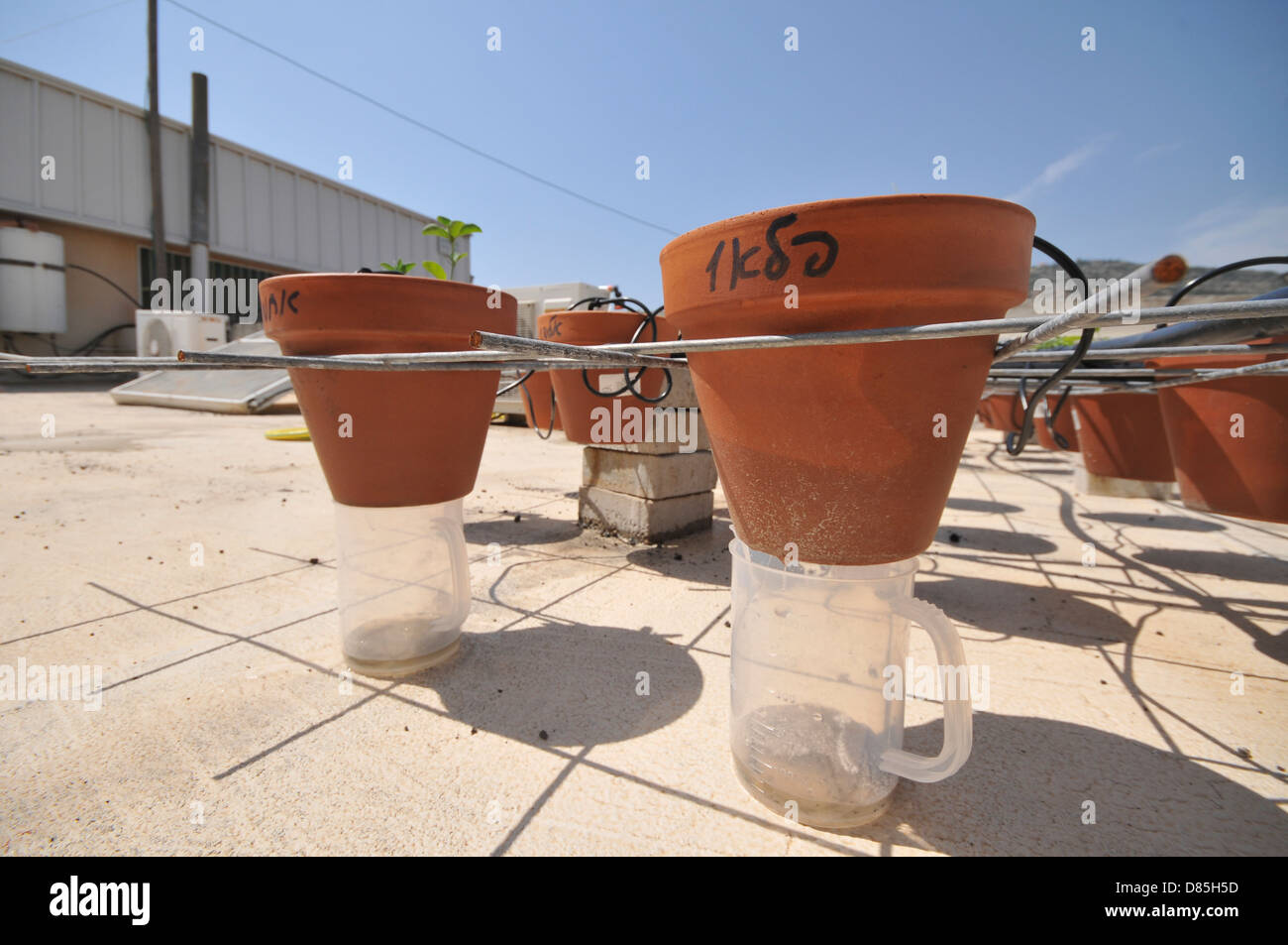 Rooftop garden experiment plants are monitored for growth using