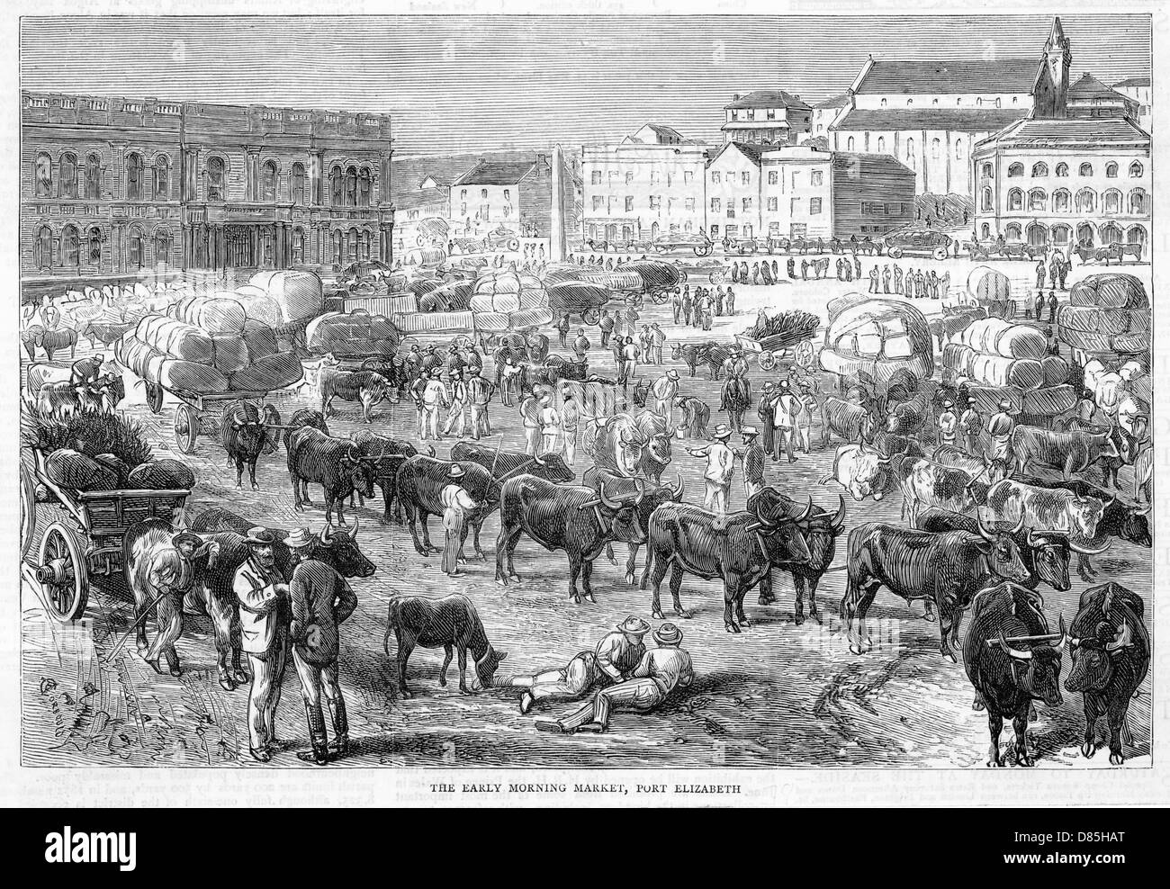 SOUTH AFRICA PORT ELIZABETH Stock Photo Alamy