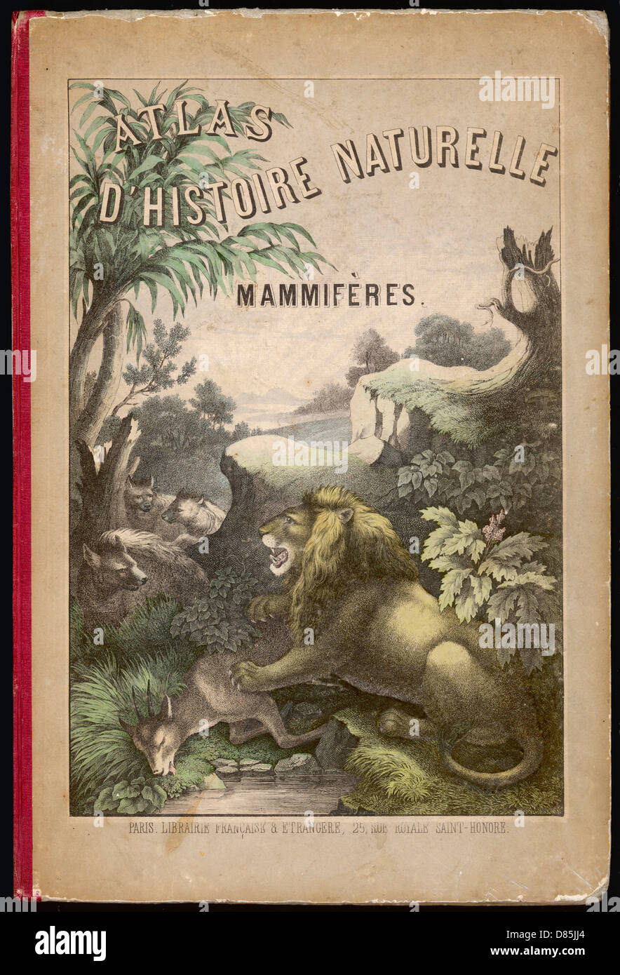 Atlas book cover hi-res stock photography and images - Alamy