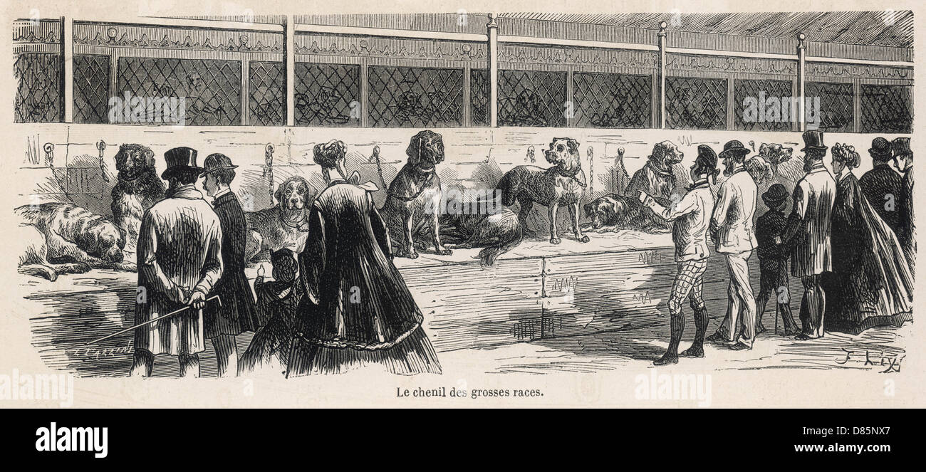 Paris Dog Show 1870 Stock Photo