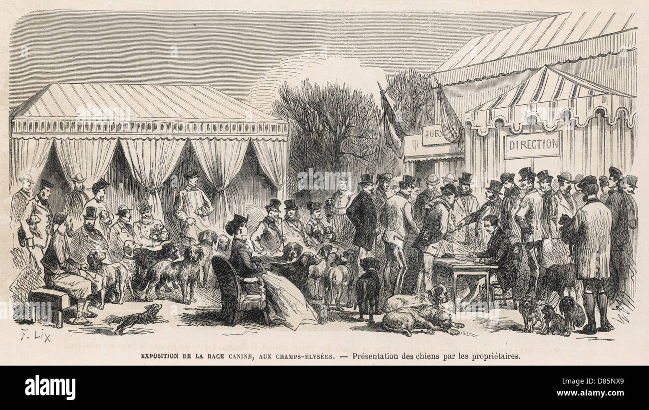 Paris Dog Show 1870 Stock Photo