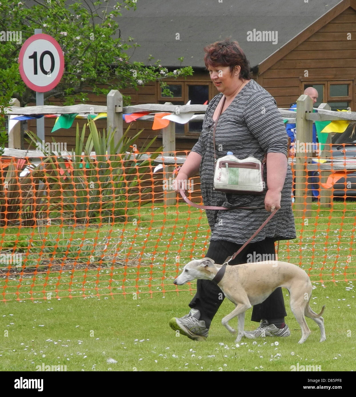 Dog shows brings out varying levels of enthusiasm...NO MODEL RELEASES EDITORIAL USE ONLY. This is a dog show at Brinsbury Agricultural College open day Stock Photo