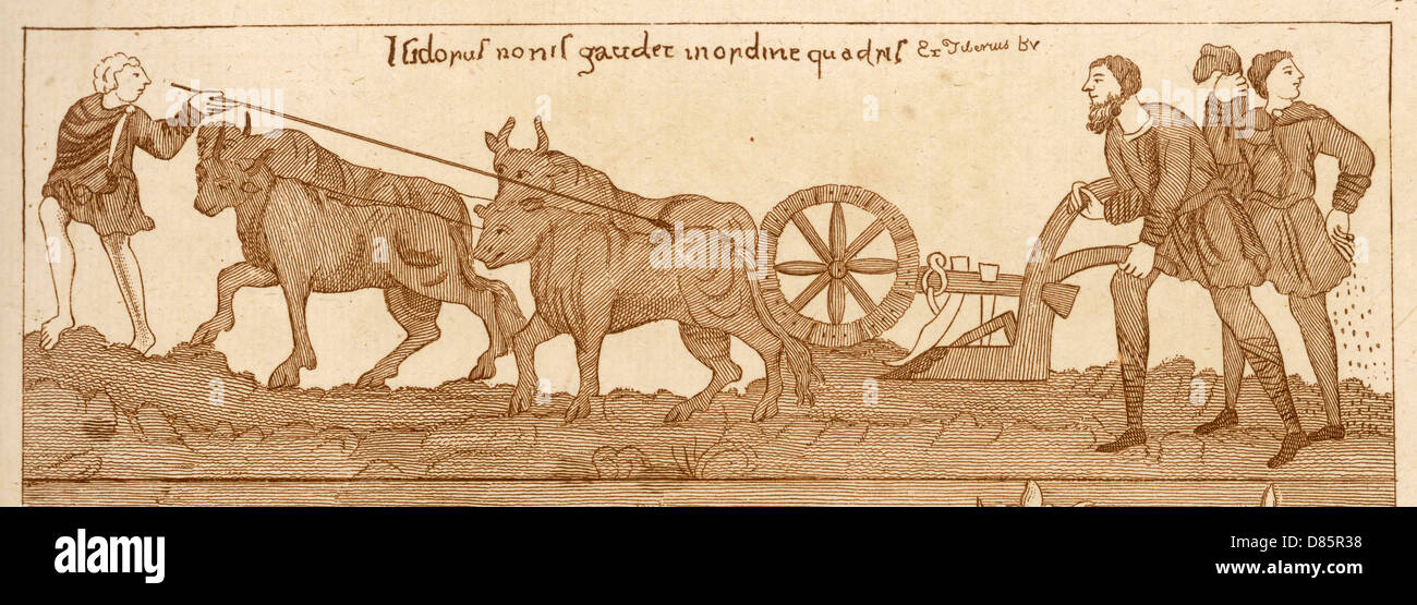 Famers ploughing with oxen Stock Photo