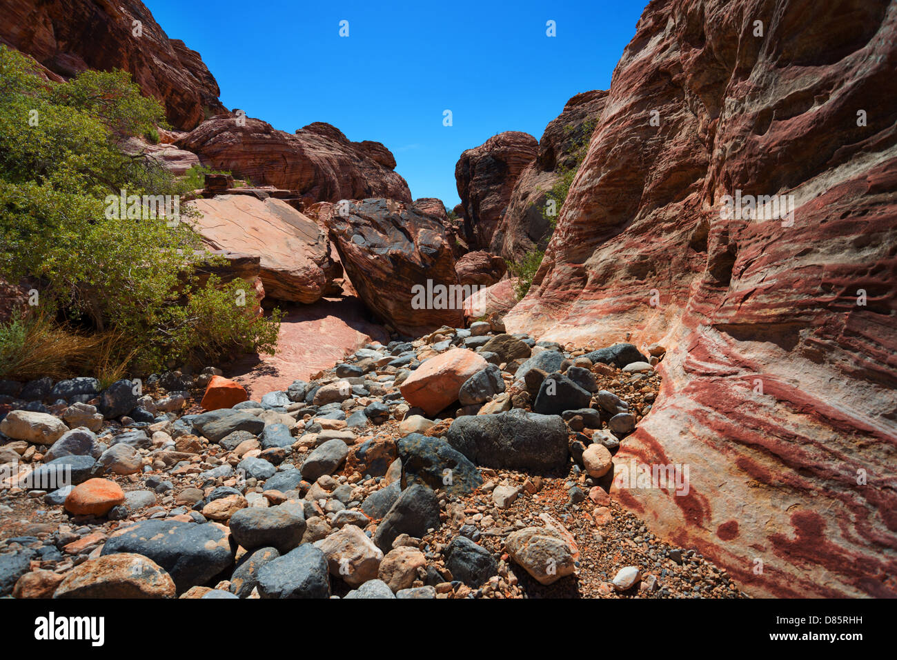 This is an image from Red Rock Canyon, California. Stock Photo