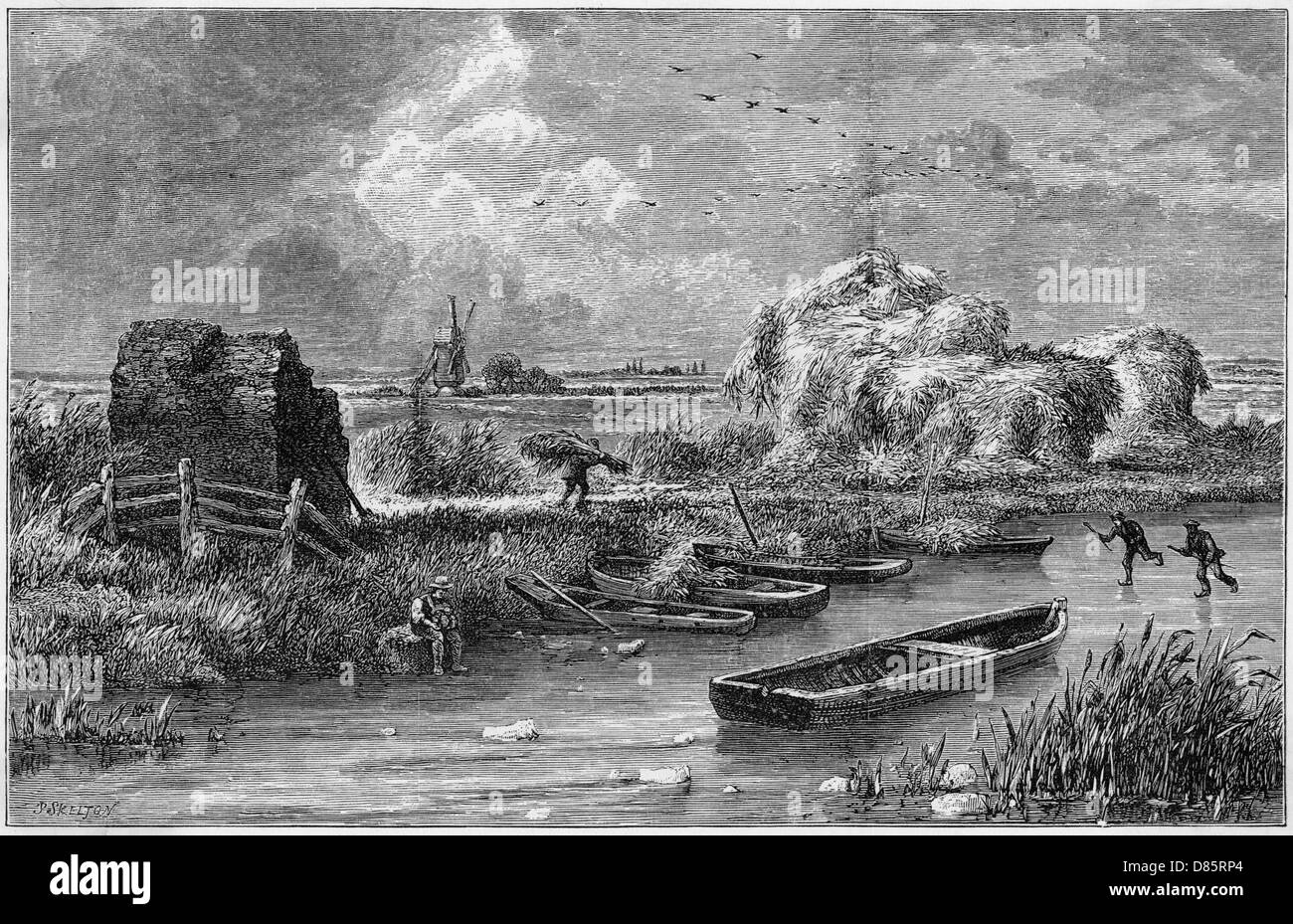 Lincolnshire fens hires stock photography and images Alamy