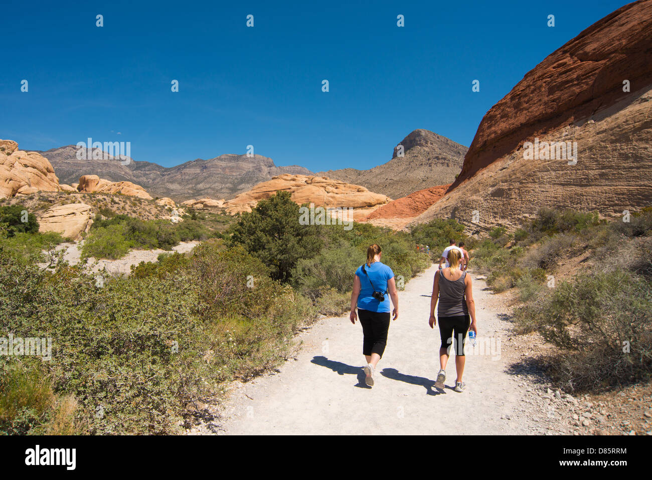 This is an image from Red Rock Canyon, California Stock Photo Alamy