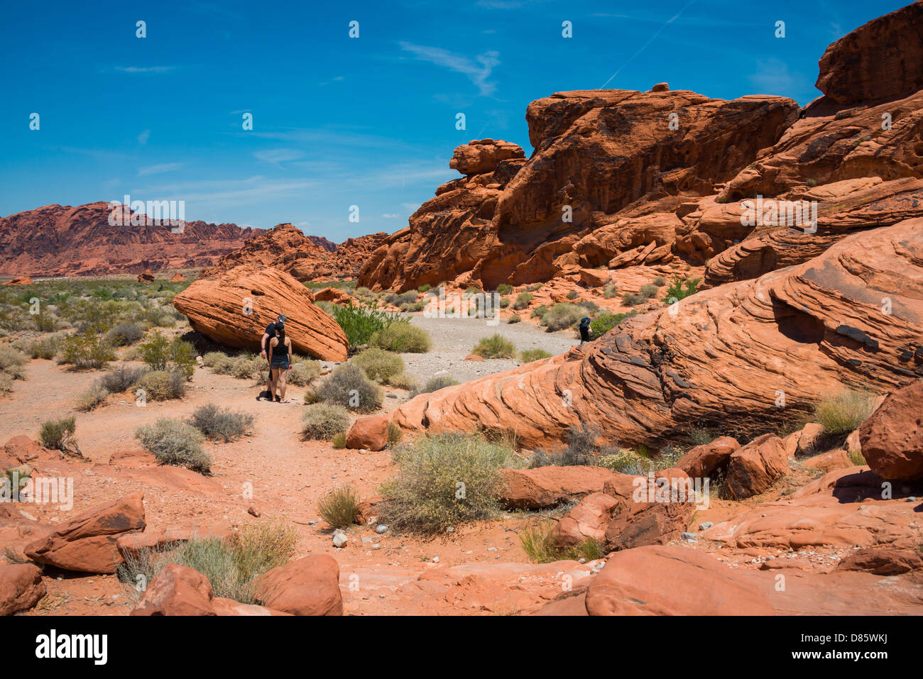 Valley of Fire State Park is the oldest state park in Nevada, USA. Stock Photo