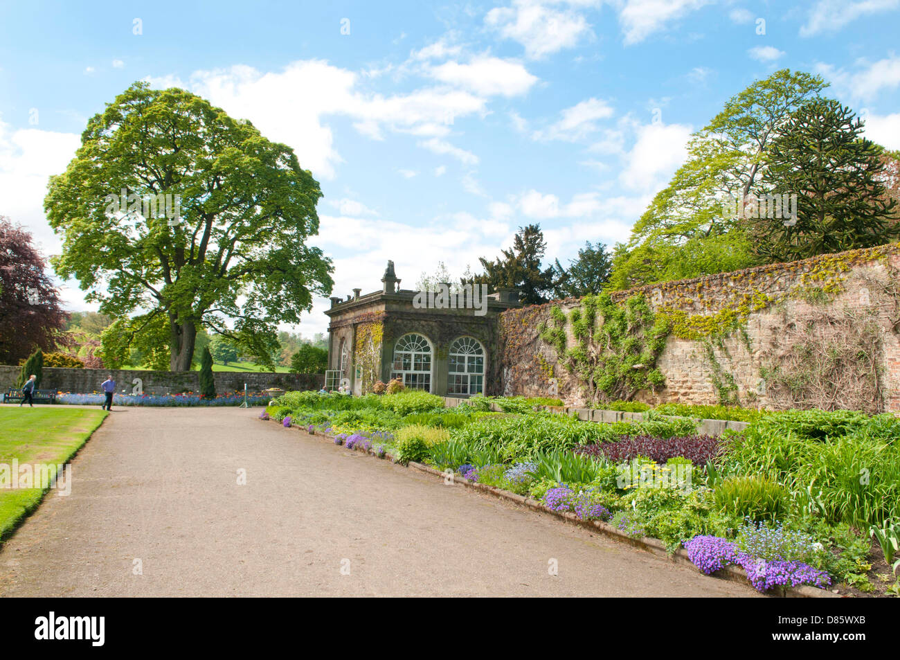 The walled garden full of flowers and plants on the Ripley Castle