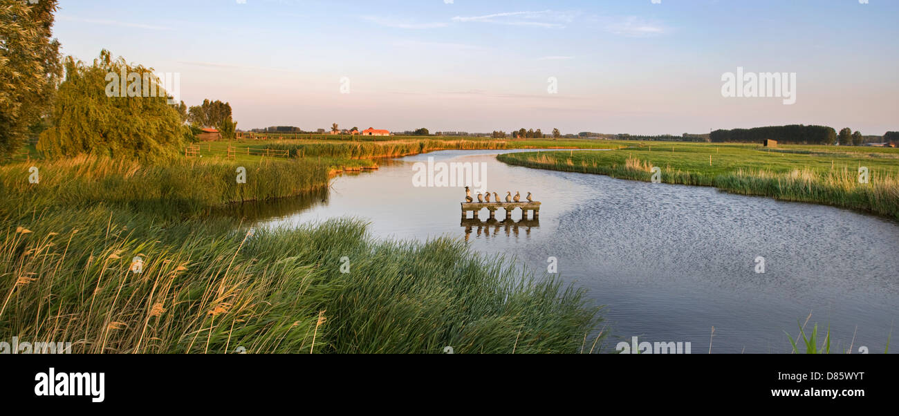Sculpture group in the Oudemanskreek, a creek at Waterland-Oudeman, Sint-Laureins, Meetjesland, Belgium Stock Photo