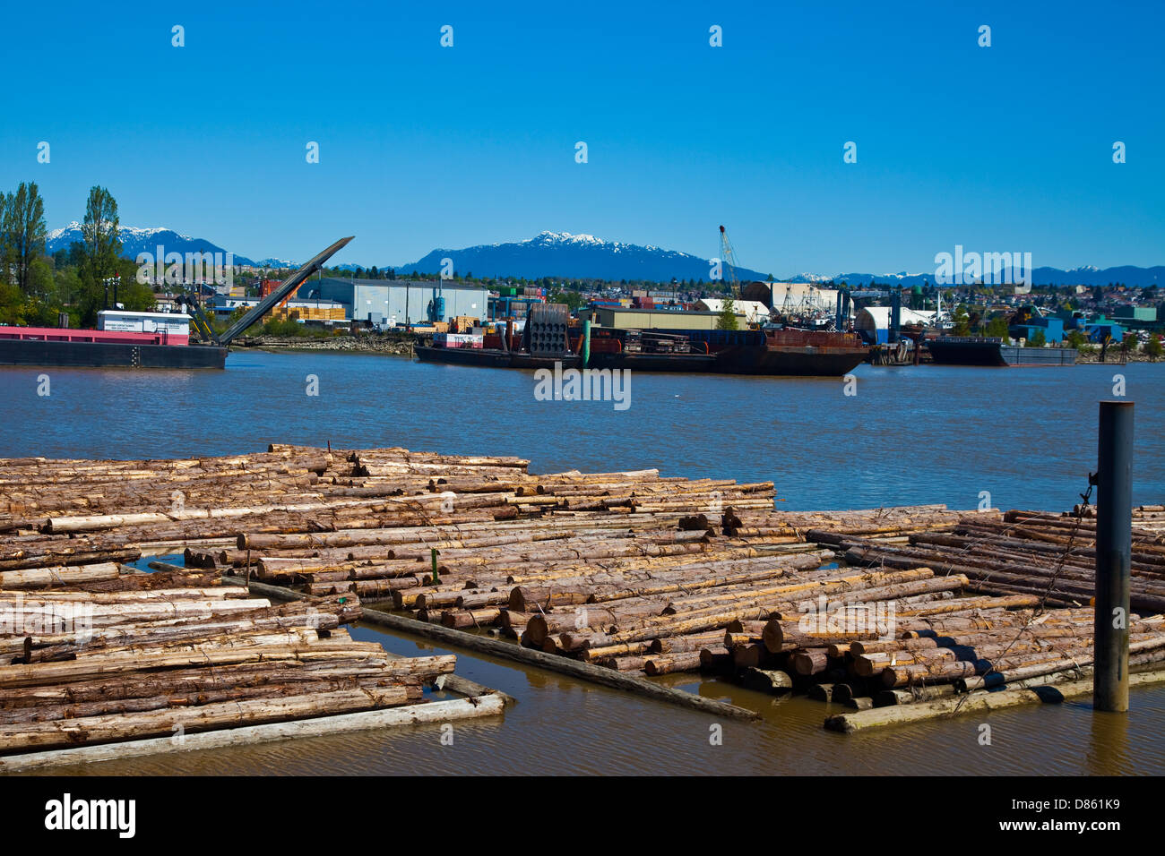 Raft of logs on the Fraser River, Vancouver, Canada Stock Photo