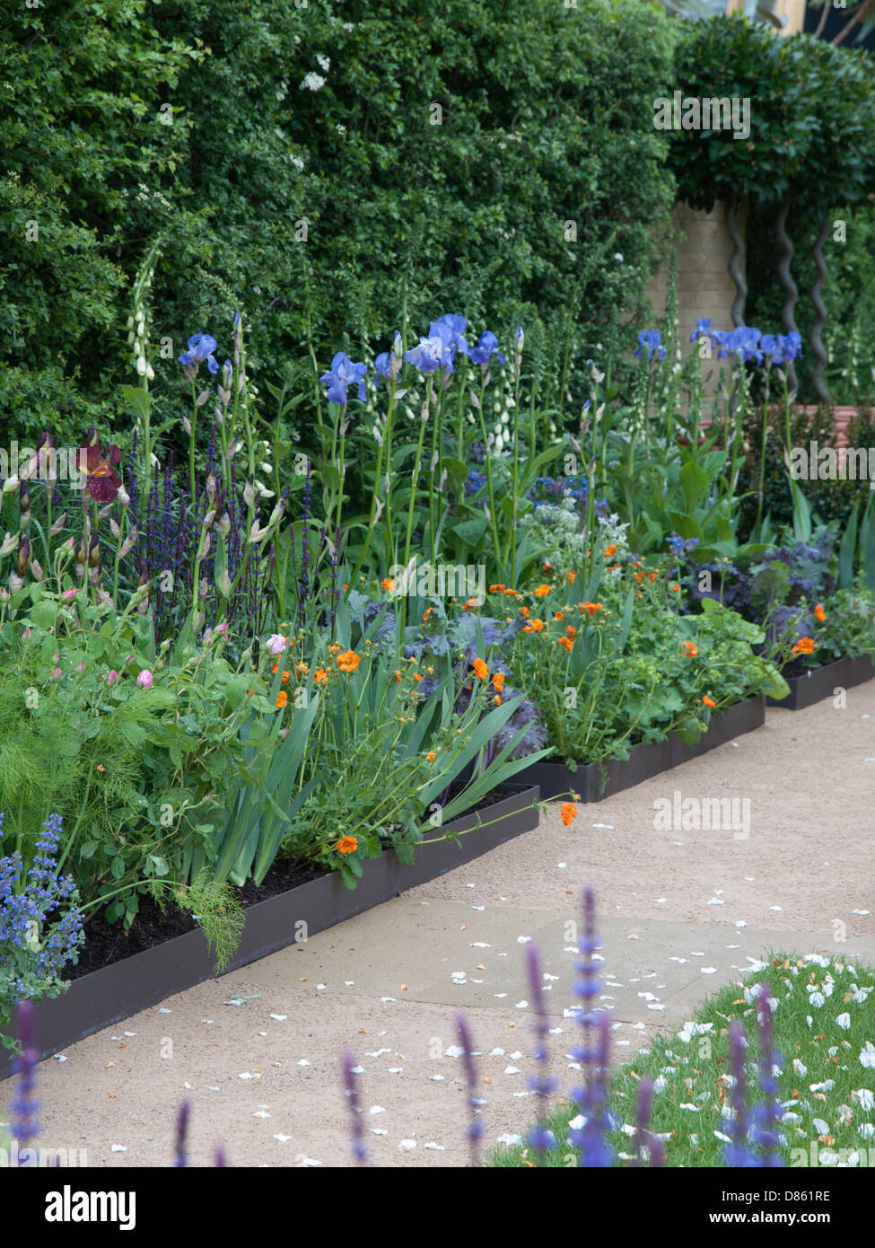 London, UK. 20th  May 2013. The Chelsea Flower Show. Pictured: Thw homebase Garden. London, UK Credit: Ian Thwaites/Alamy Live News Stock Photo