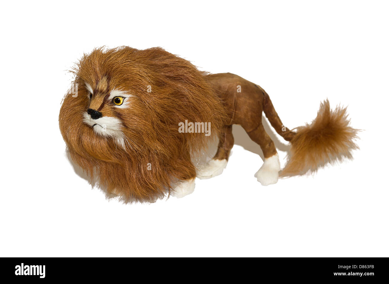 Lion king of beasts, Isolated, illustration Stock Photo