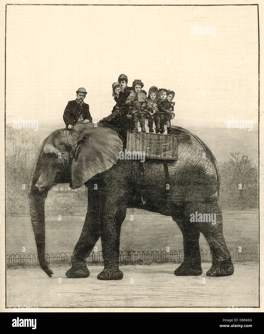 Jumbo the circus elephant hi-res stock photography and images - Alamy