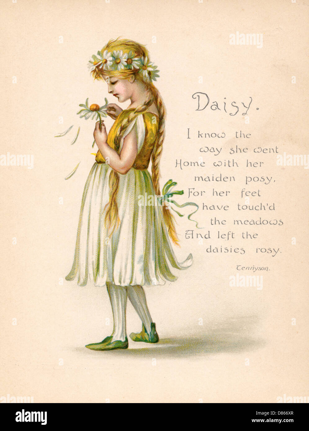 Daisy / 'Language of Flowers' Stock Photo Alamy