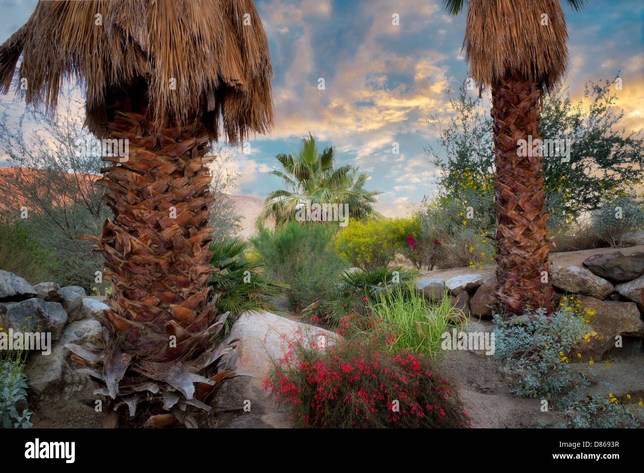 Desert garden. Faye Sarkowsky Sculpture Garden. Palm Desert, California Stock Photo