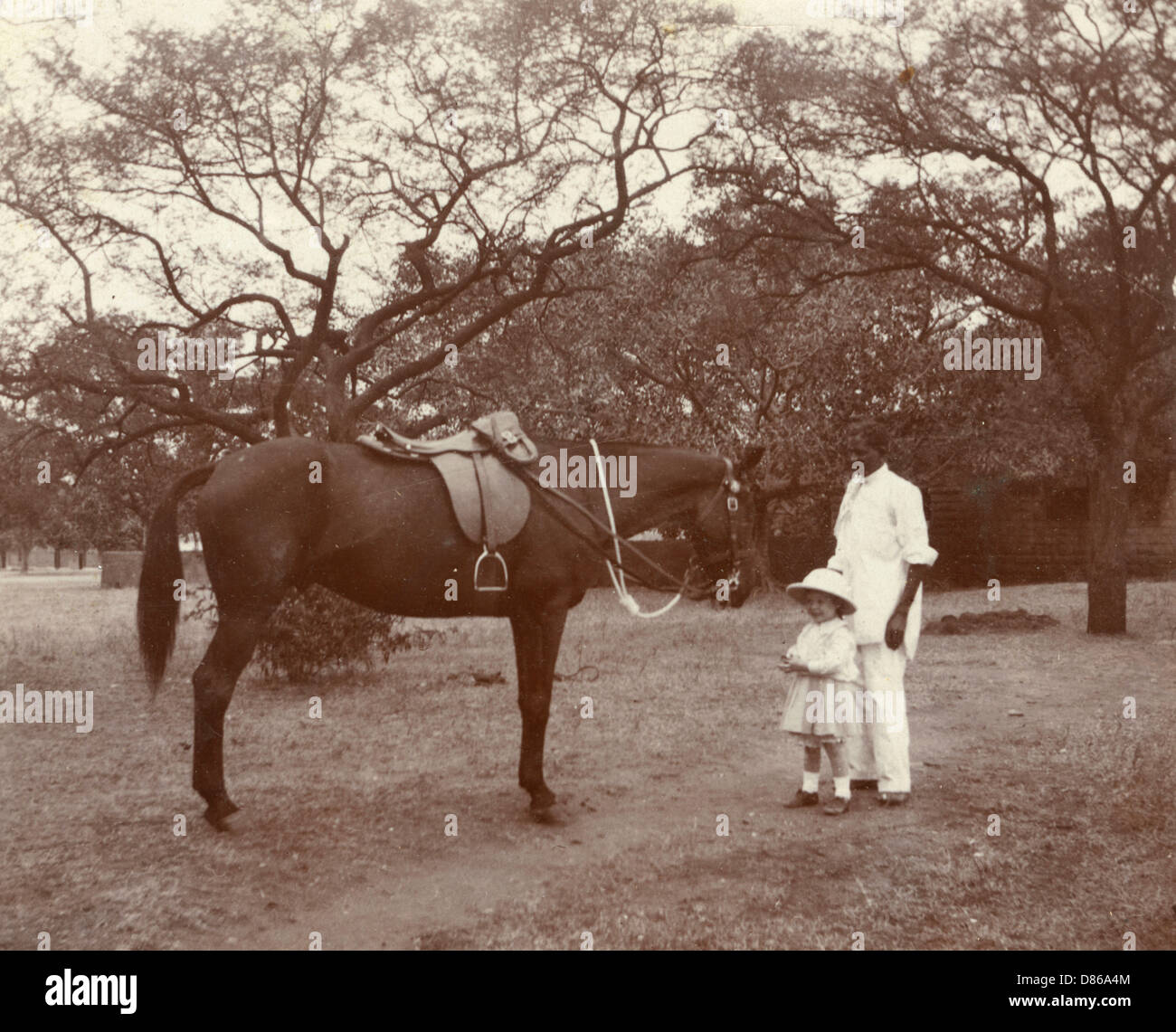 B667 Vintage photo ca 1920 Follow me Edwardian man boy horse horseback ride vernacular snapshot photograph