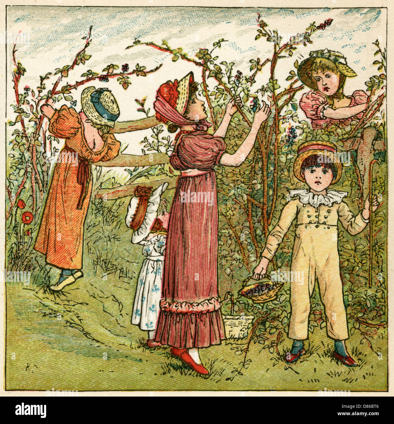 Five children picking blackberries Stock Photo