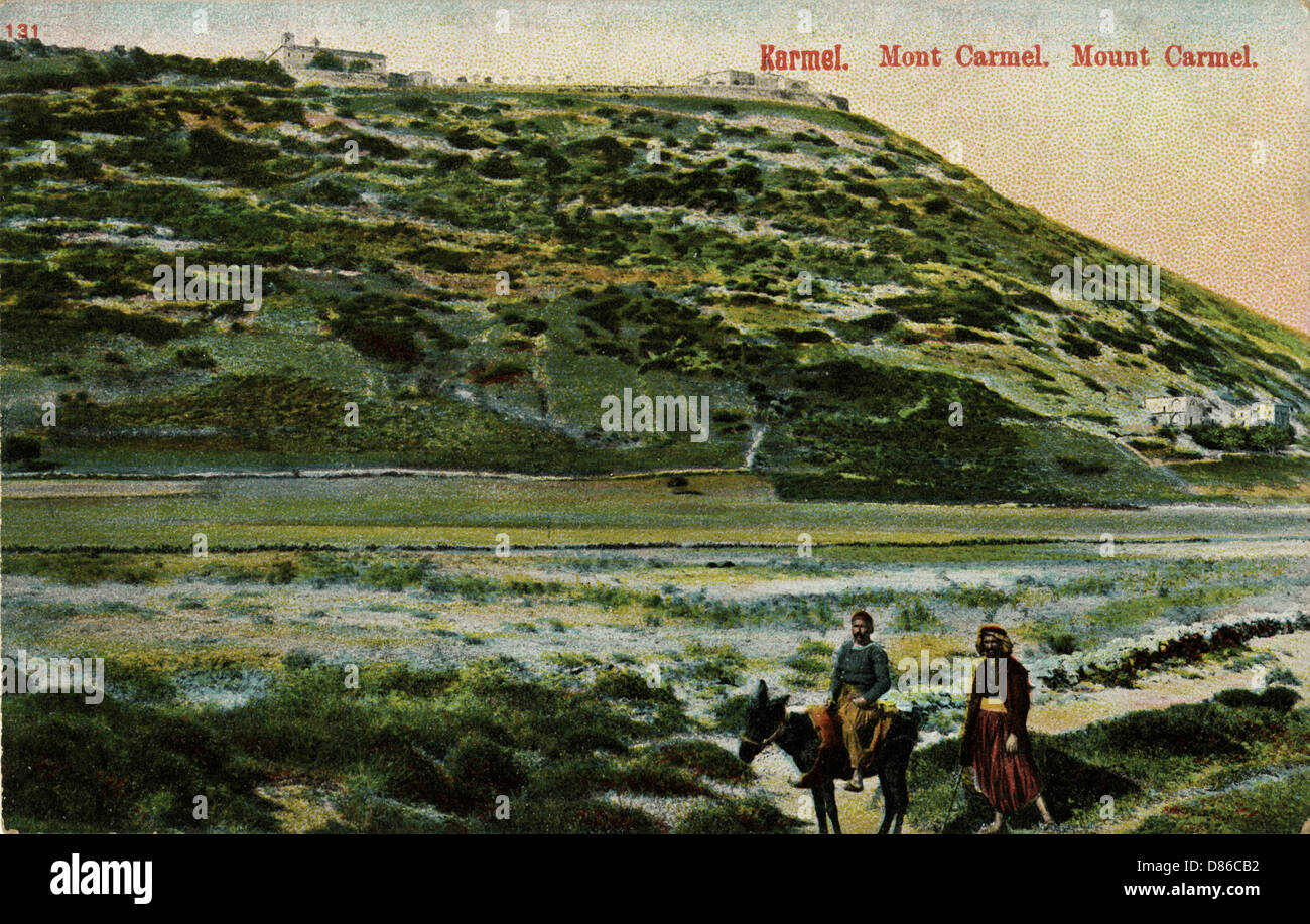 View of Mount Carmel, Israel Stock Photo Alamy
