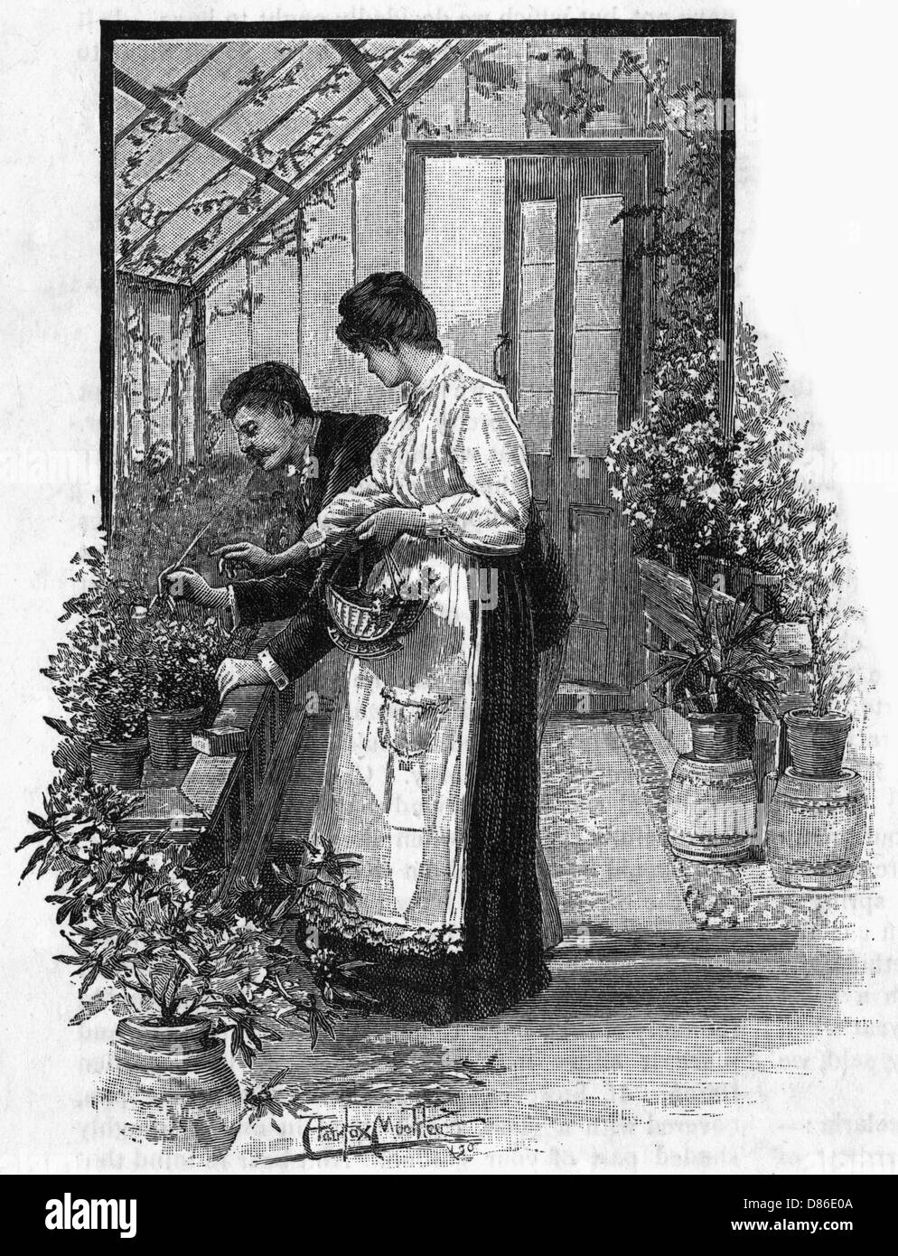 Gardening Tasks  Pest Control  1891 Stock Photo