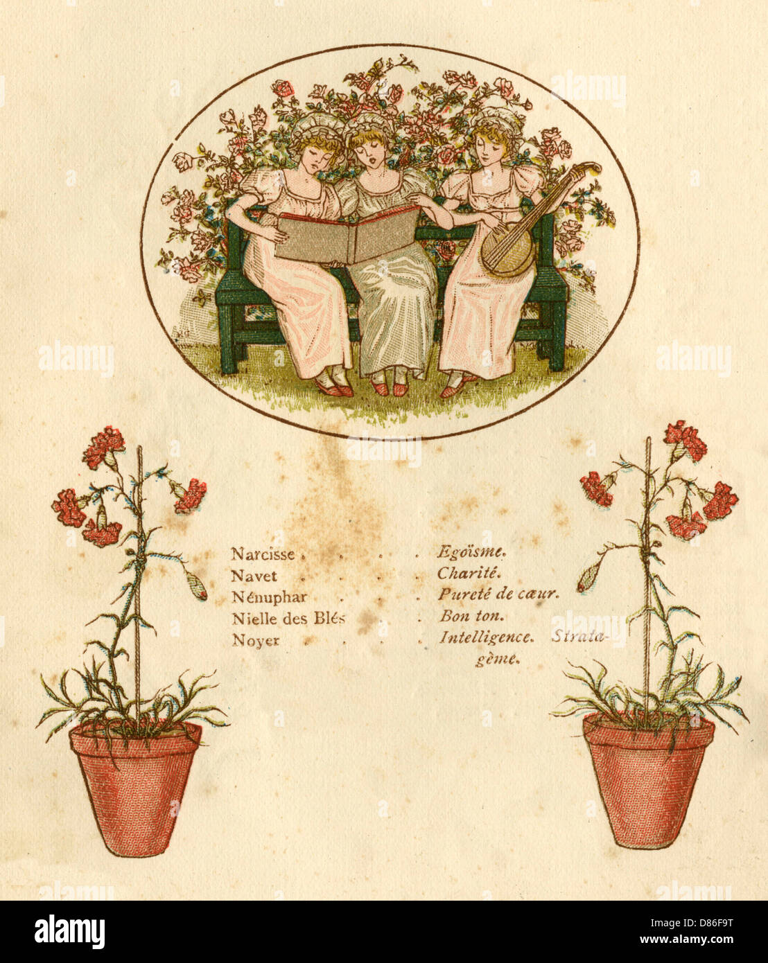 The Language of Flowers Poster Stock Photo Alamy