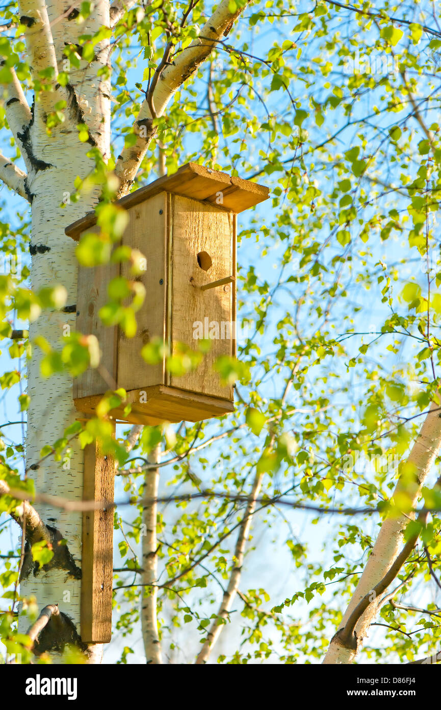 Wooden birdhouse attached to birch Stock Photo