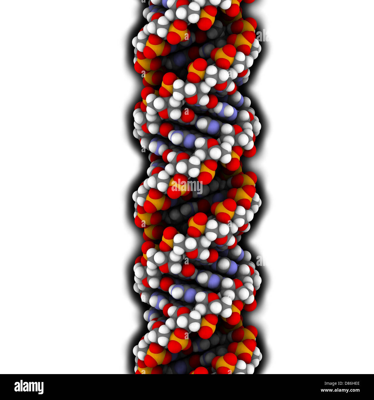 DNA (A-DNA conformation) structure. DNA is the main carrier of genetic information in all organisms Stock Photo