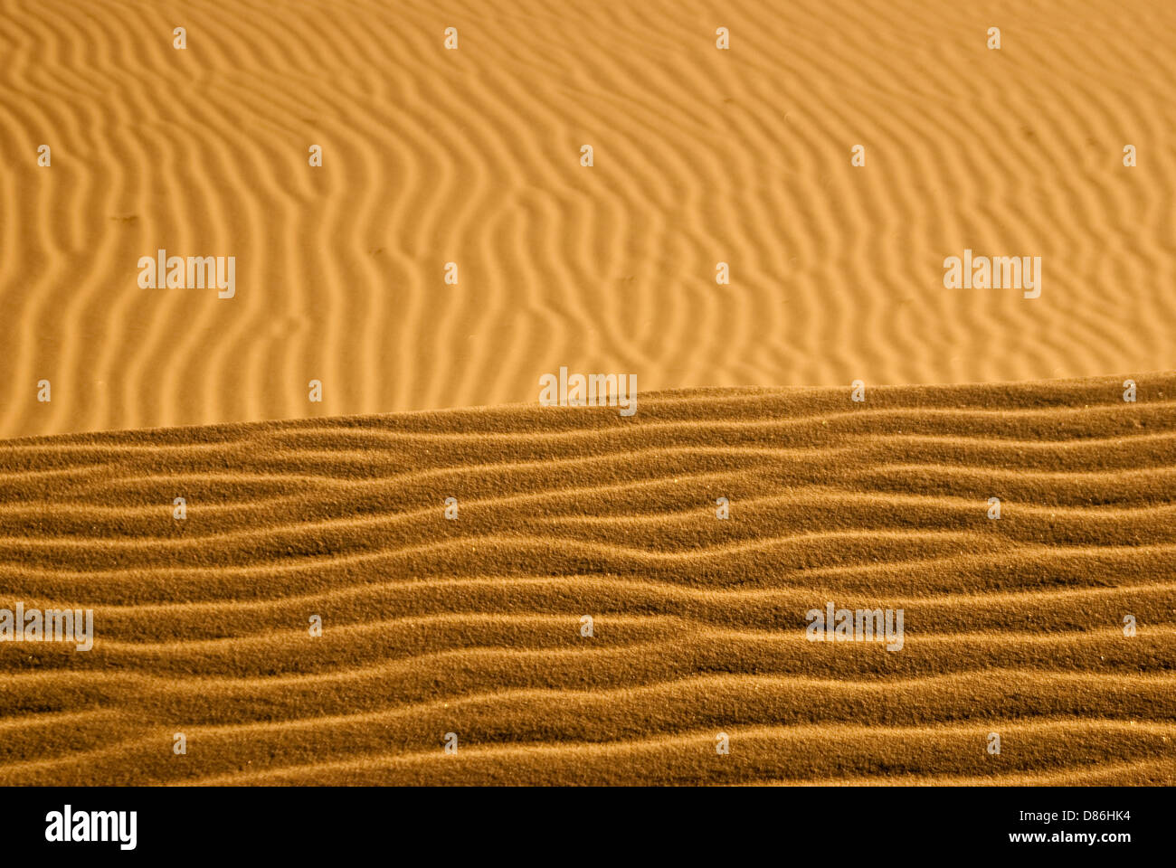 Sand in Kelso Dunes forms a golden horizon Stock Photo