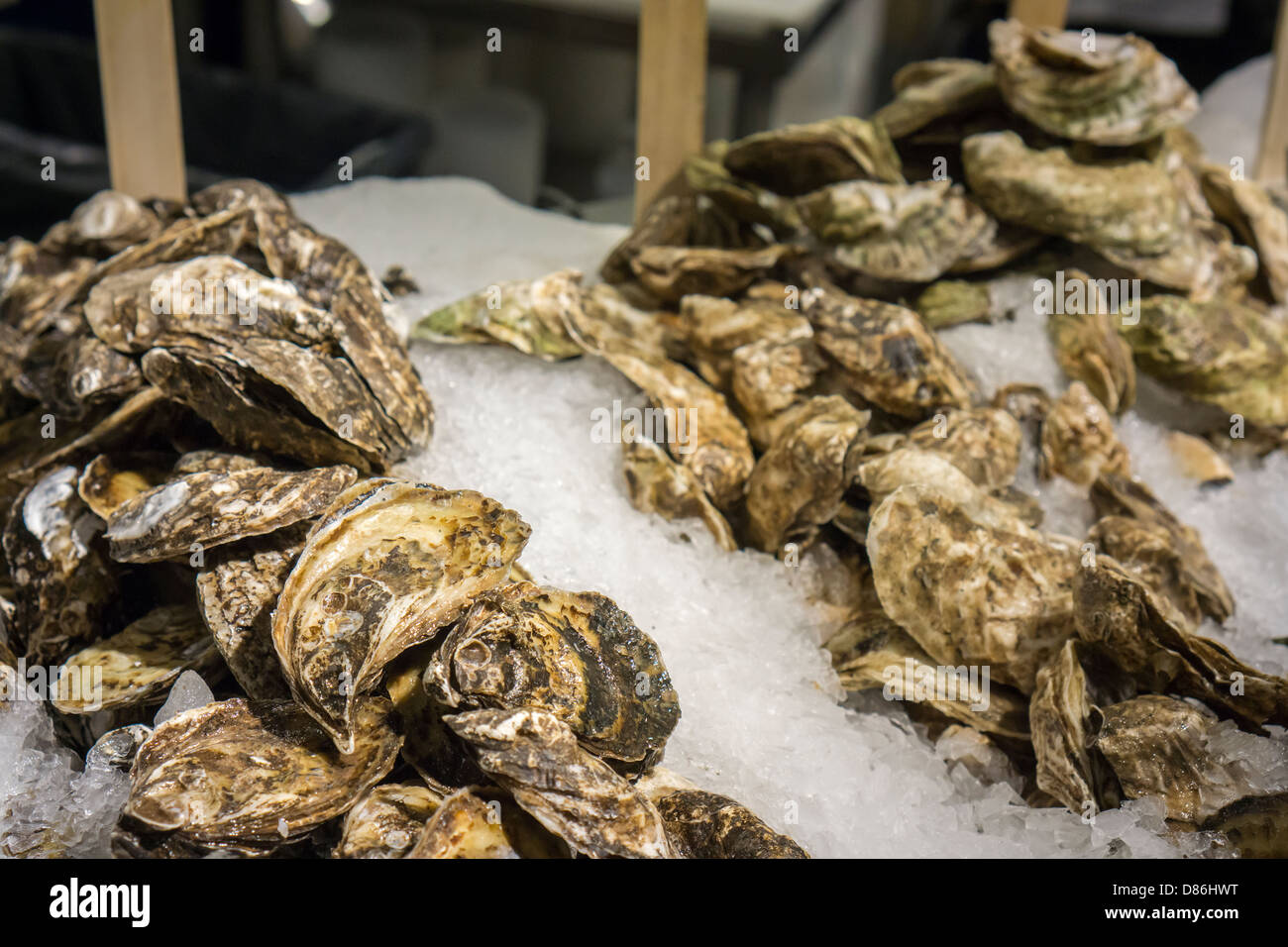 Oysters in Chelsea Market in New York Stock Photo Alamy