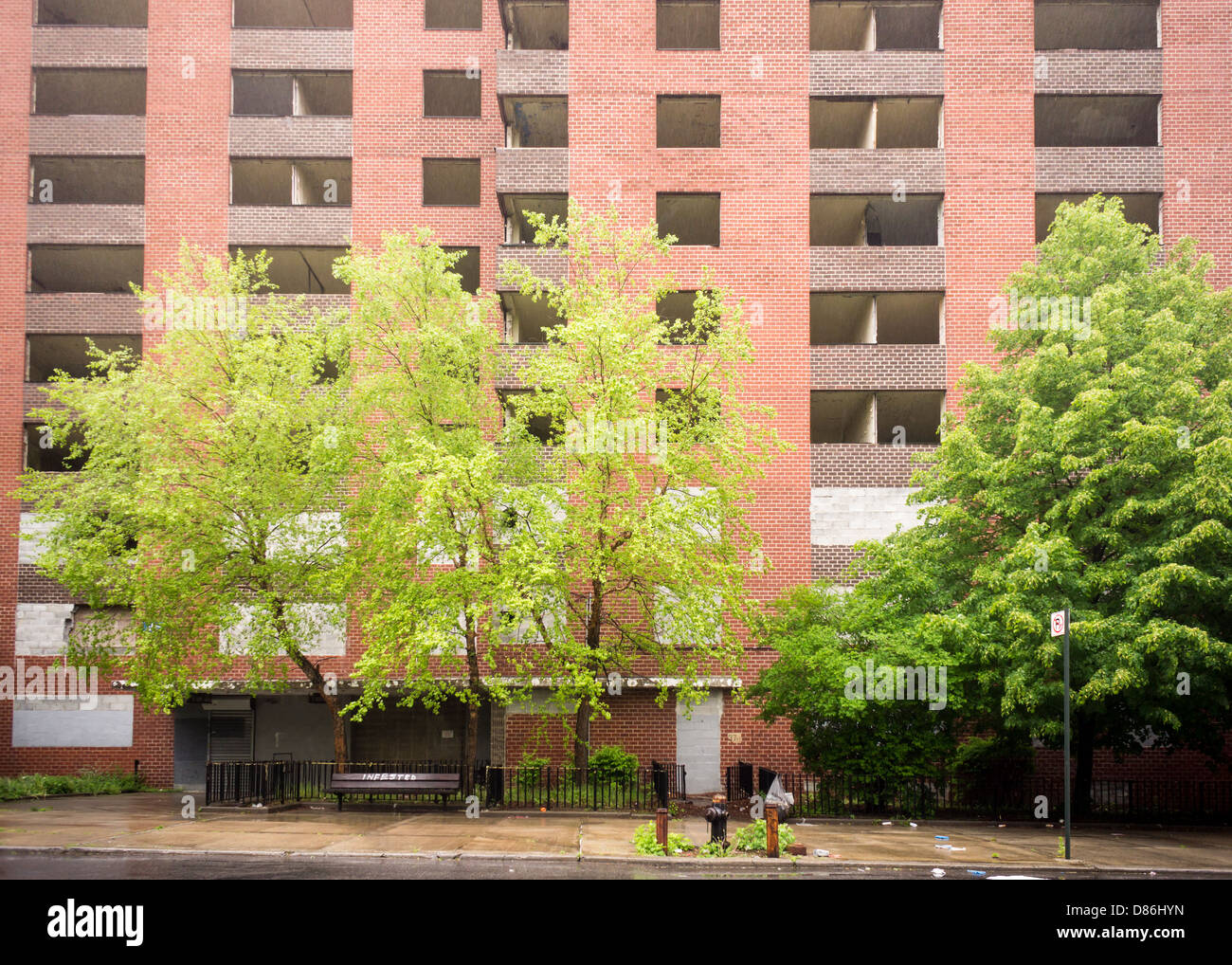 The empty massive NYCHA Prospect Plaza housing project complex in the