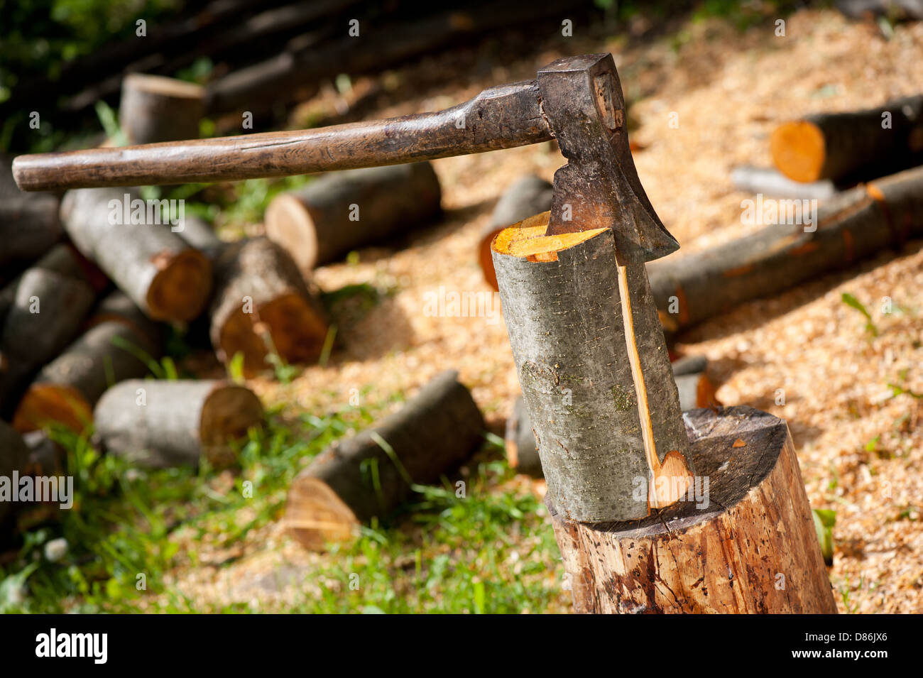 Axe impaled in log of alder wood Stock Photo