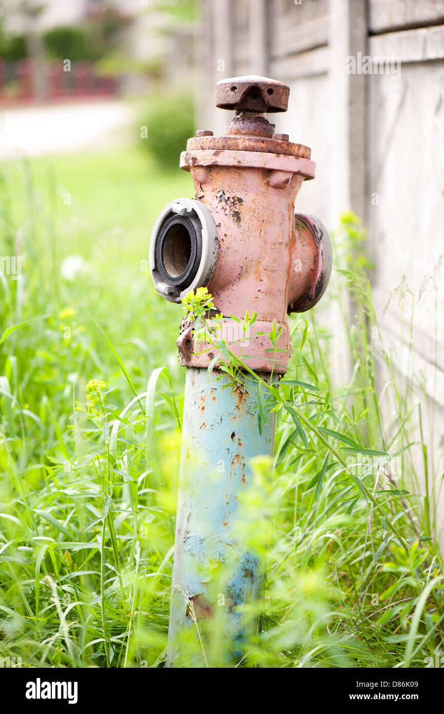 old rusted hydrant standing in grass Stock Photo