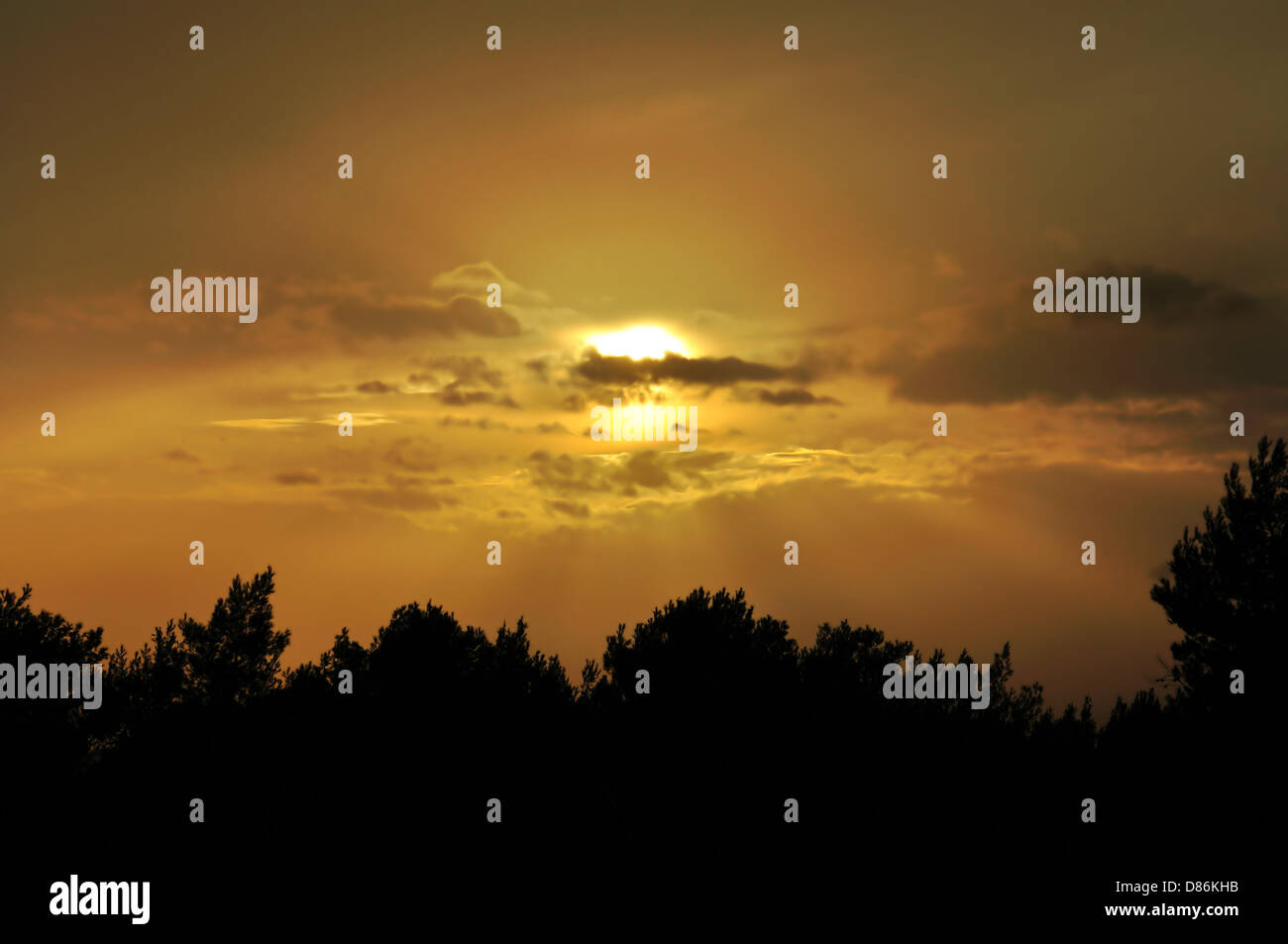 Evening sky behind clouds. Orange sunset and tree silhouettes. Stock Photo