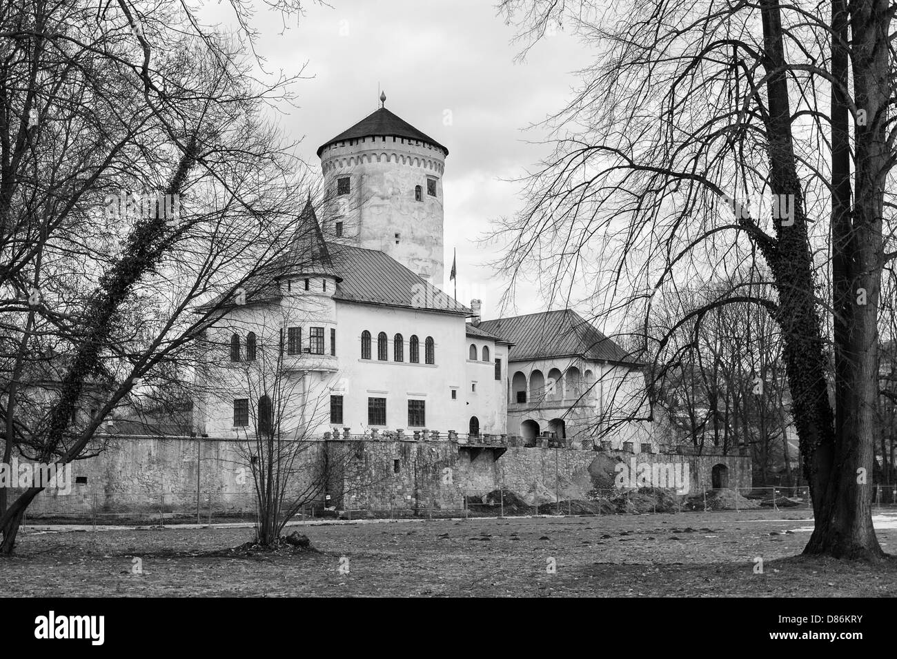 Castle of Budatin Stock Photo