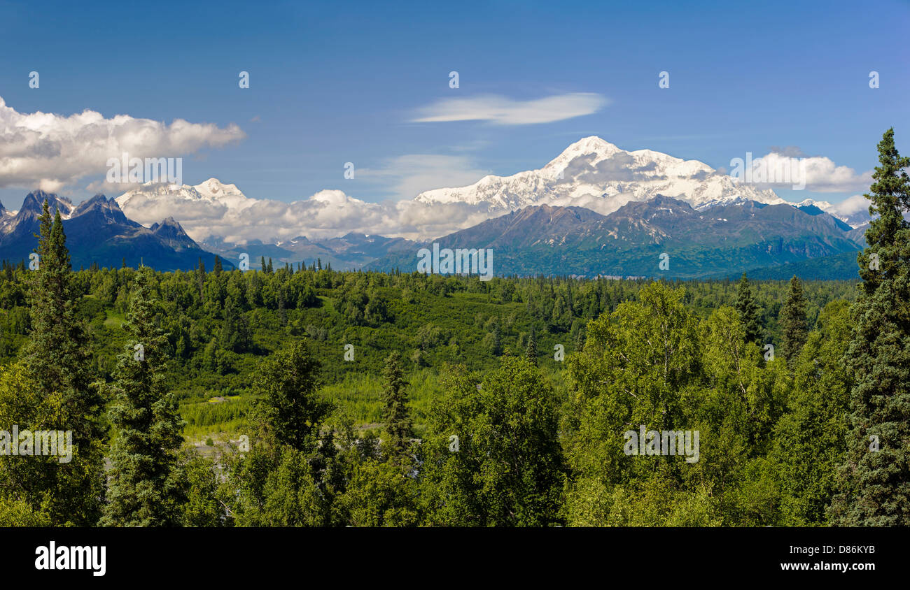 View north of Alaska Range and Denali Mountain (Mt. McKinley) from