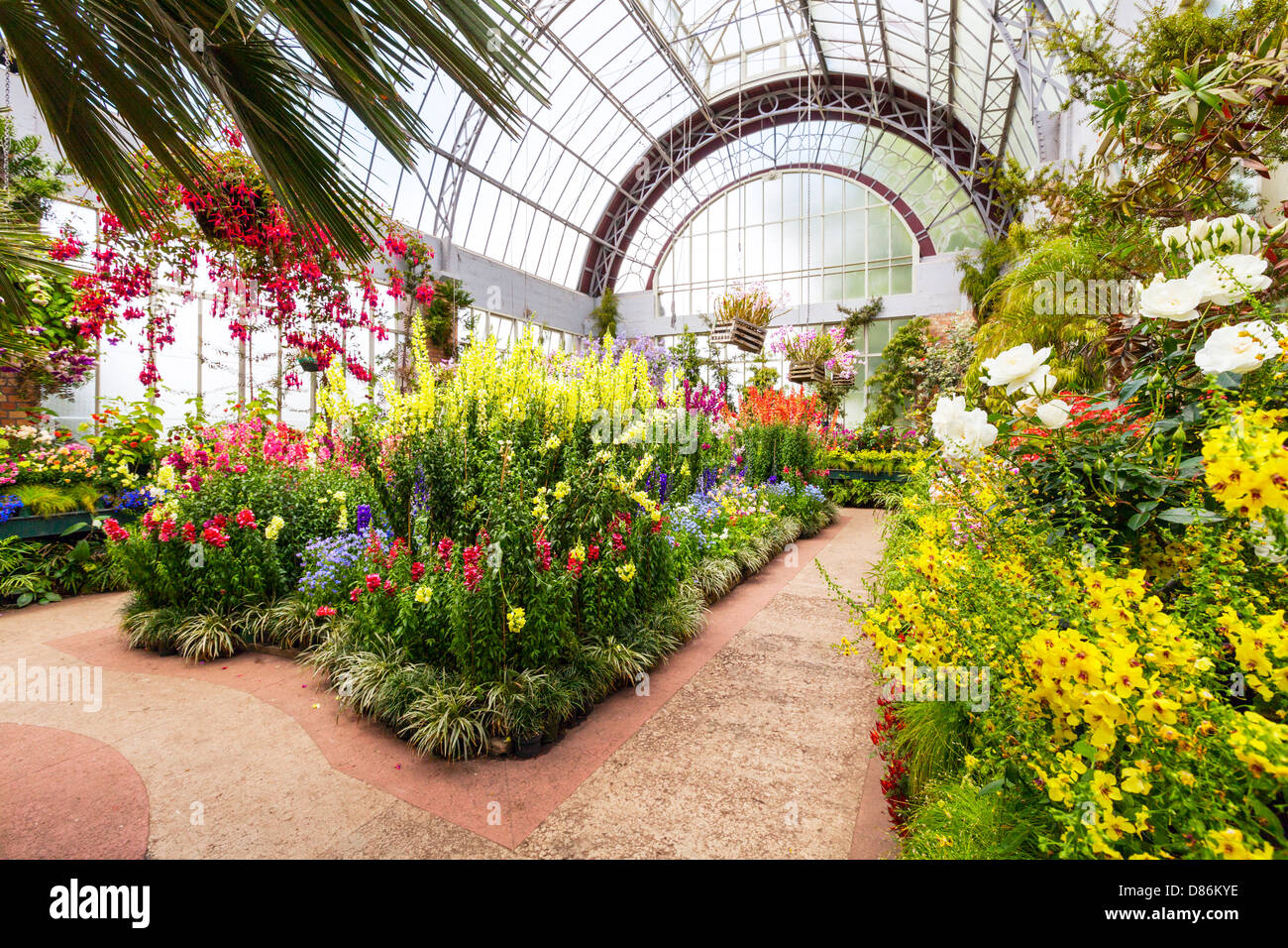 The Temperate Glasshouse, Wintergardens, Auckland Domain, New Zealand. Stock Photo