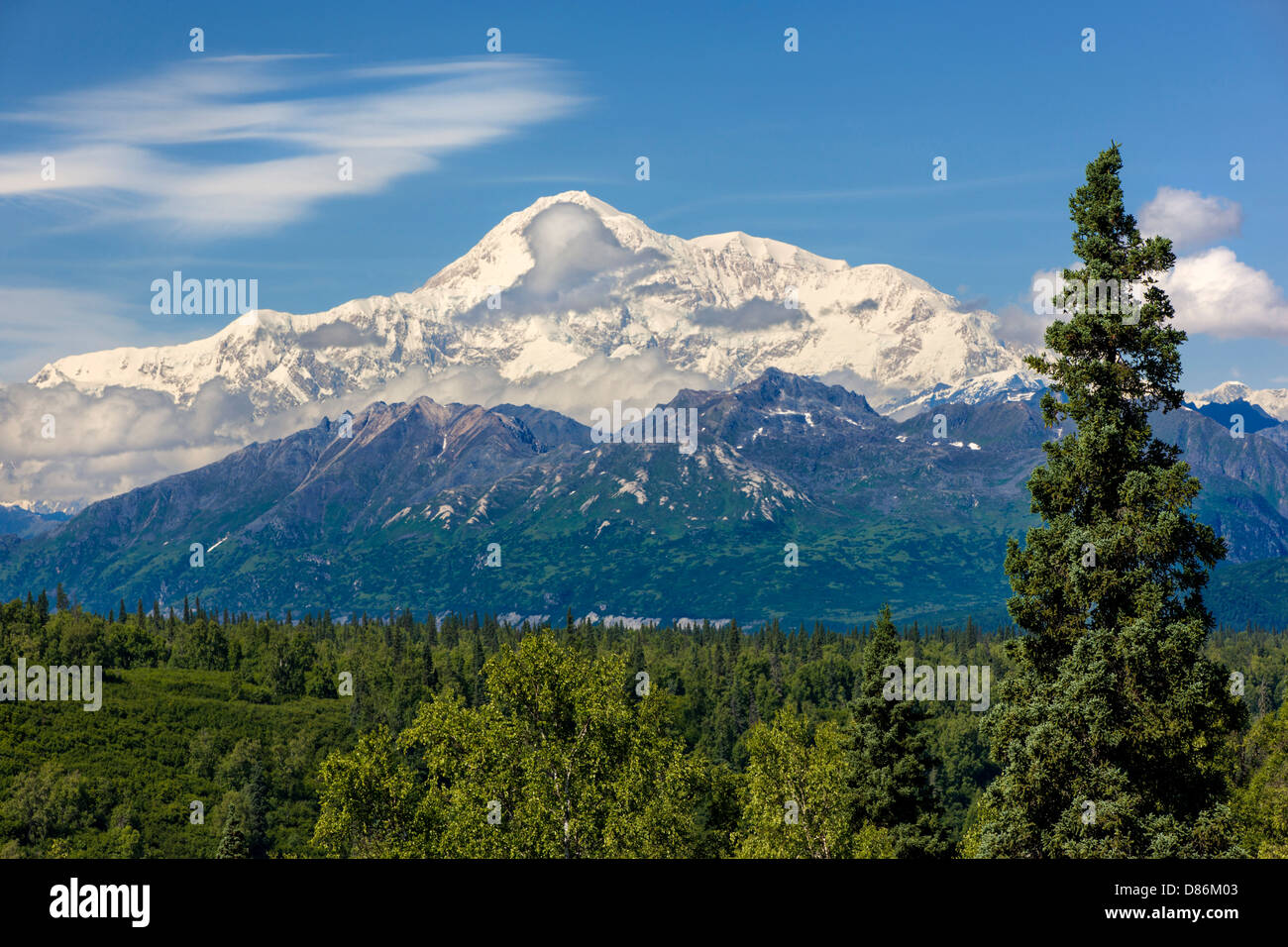 View north of Alaska Range and Denali Mountain (Mt. McKinley) from 'Denali Viewpoint South” George Parks Highway 3, Alaska, USA Stock Photo