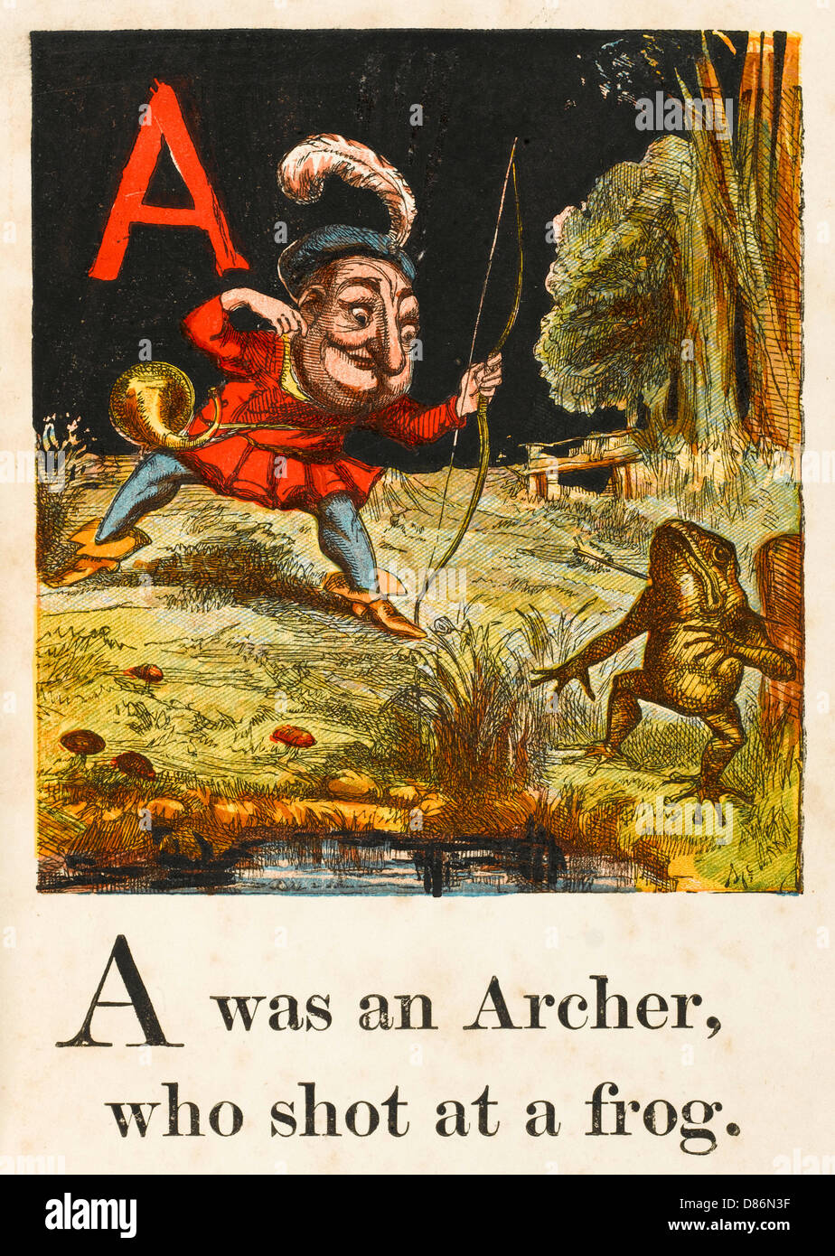 REPTILES/FROG BEING SHOT Stock Photo